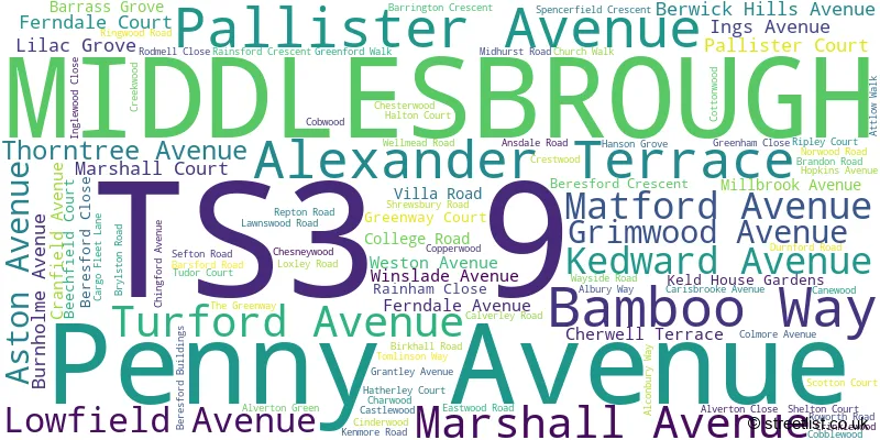 A word cloud for the TS3 9 postcode